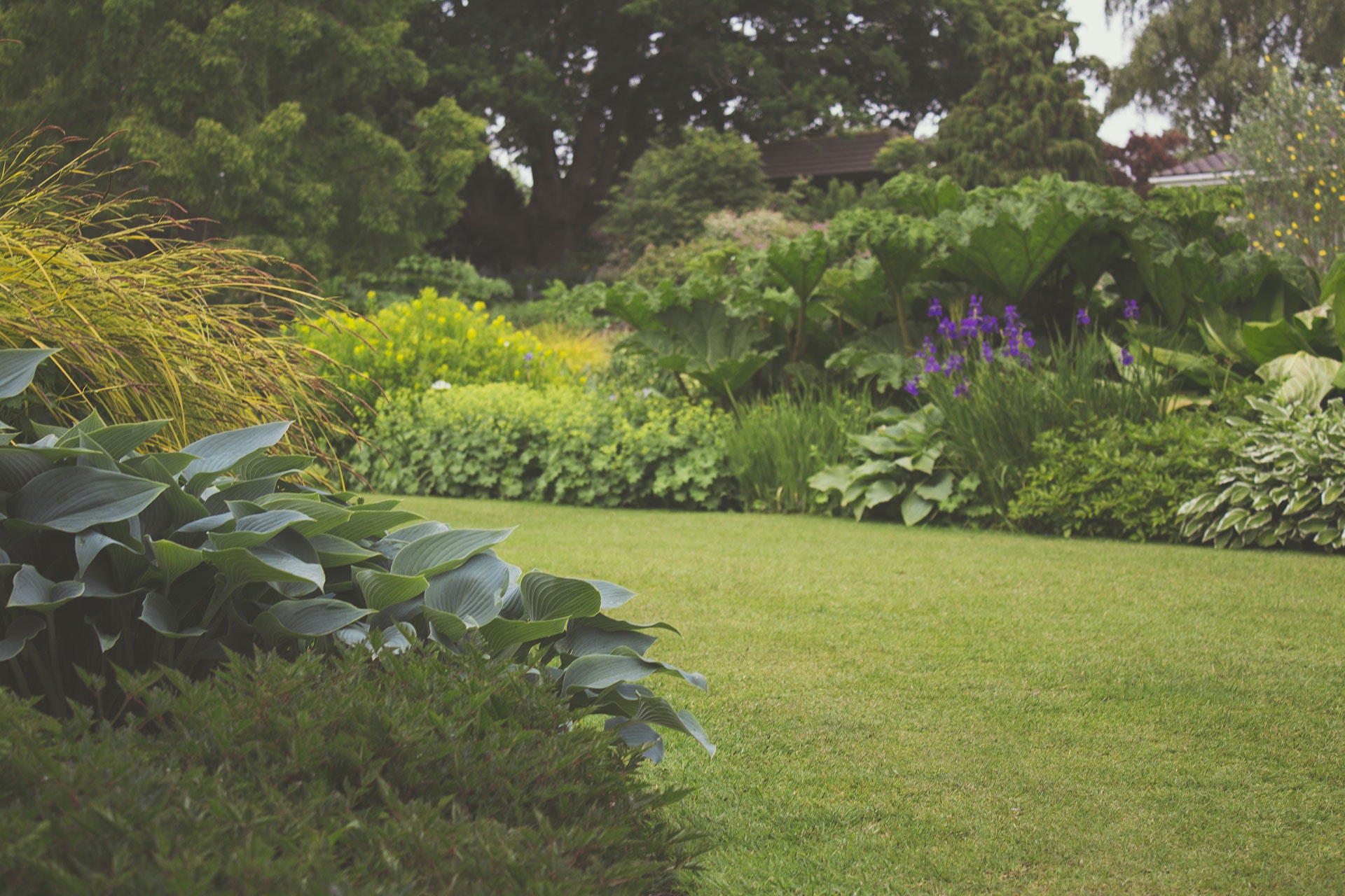 Garden-Care-ACT-Canberra-Blue-Lizard-Services